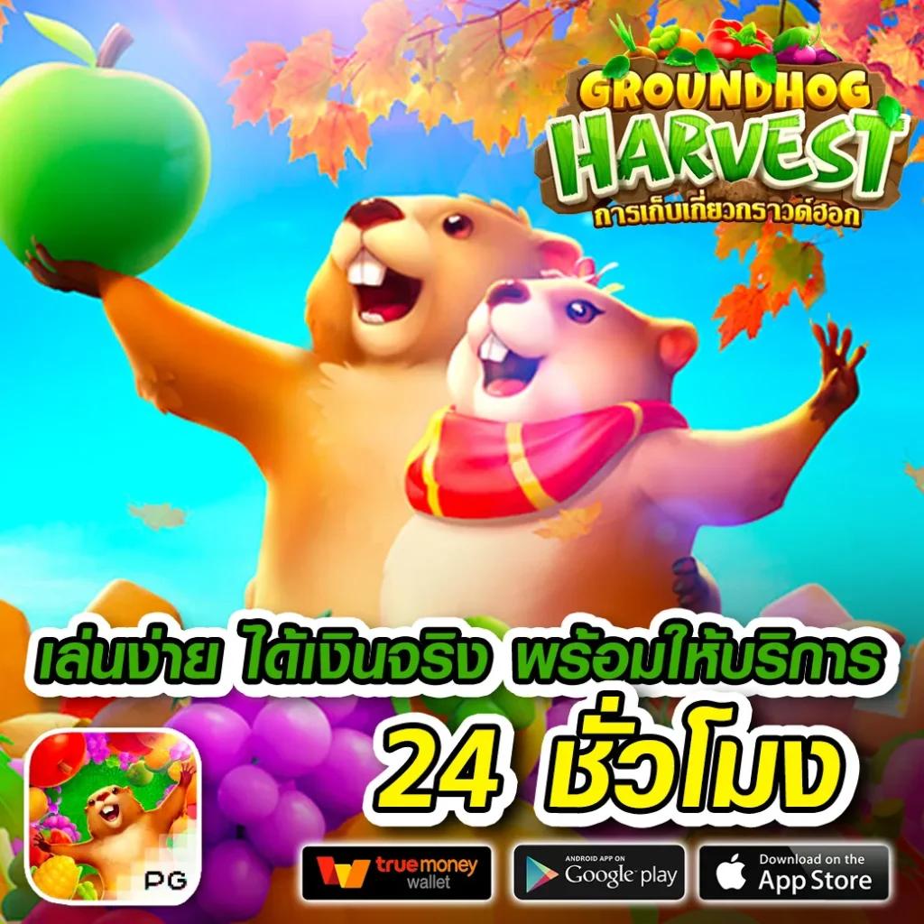 ดูบอลสด7m ทีเด็ดวันนี้ ทุกลีก 888 ล่าสุด เข้มข้น ชัดเจน  